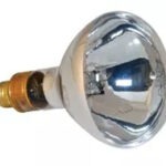 Spectroline bulb