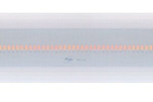 Pego Expert Led