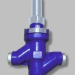 AWP Stop check valve RVAK